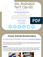 Ocean Animals Nomenclature Cards