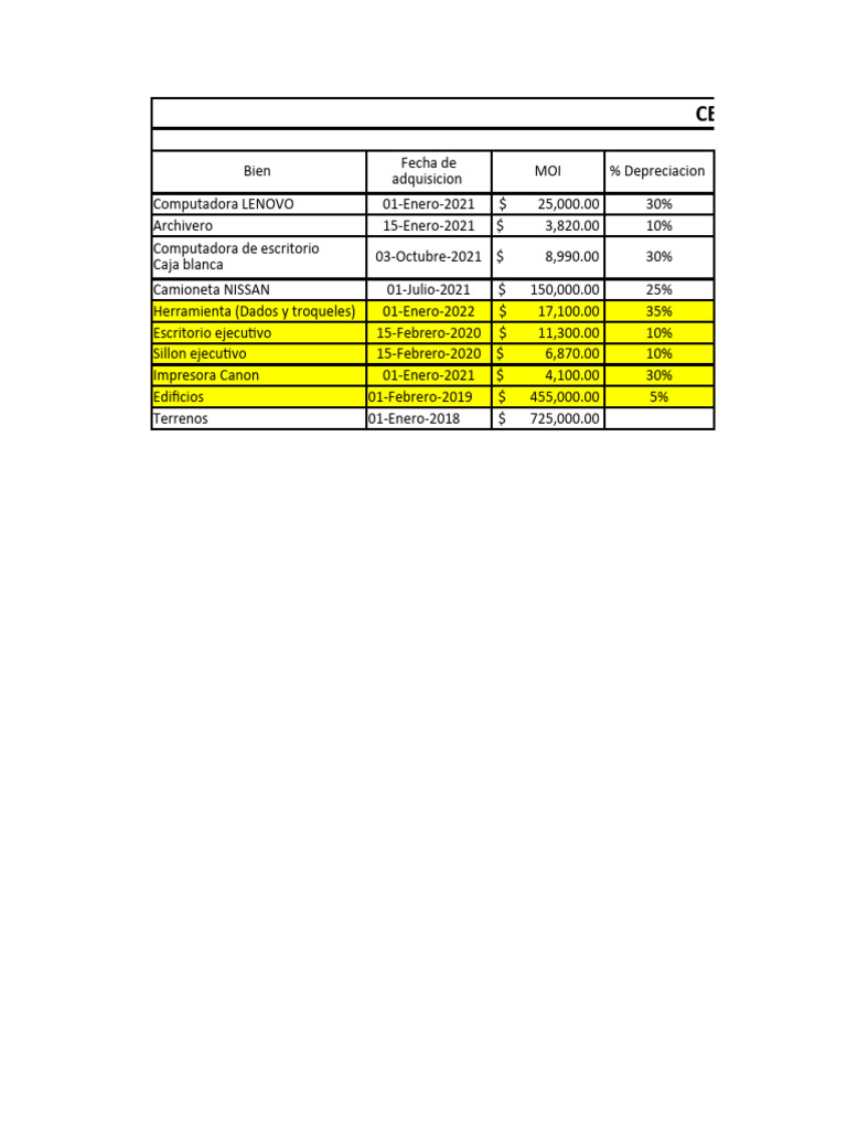 Cedula de Activos Fijos | PDF | Depreciación | Contabilidad financiera