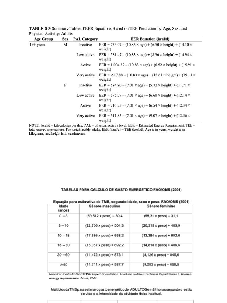 Cálculo de Gasto Energético Total | PDF | Bem-estar