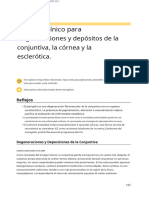 8.external Disease and Cornea AAO 2022-2023-176-200 Degeneraciones y Depositos - En.es
