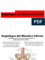 Angiología y Neurologia Miembro Inferior