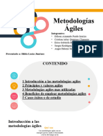 Metodologias Agiles (4)