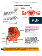 CamScanner 01-04-2024 12.06