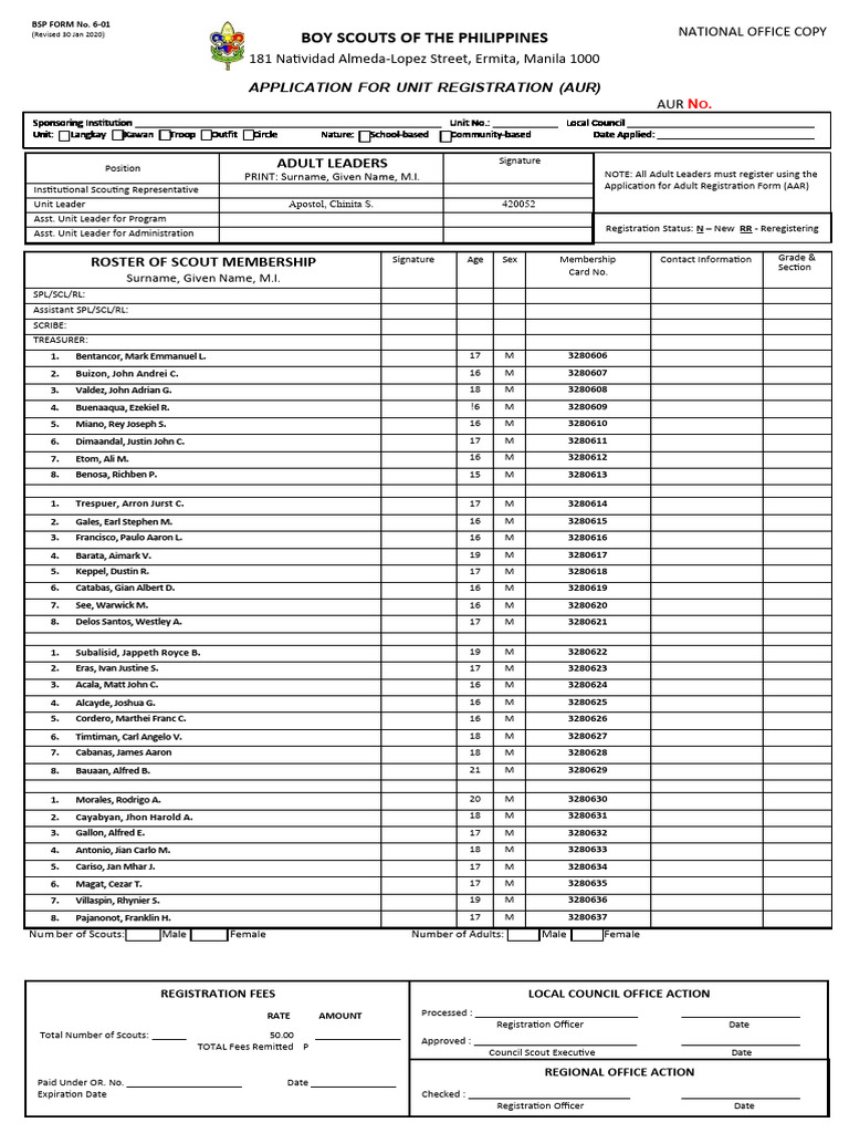 BSP Unit Registration Application | PDF | Youth Organizations | Youth ...
