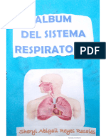 Álbum de Sistema Respiratorio