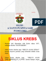 PPT SIKLUS KREBS