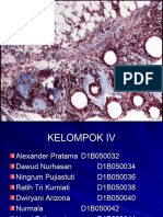 Presentasi Lipid Kel 4