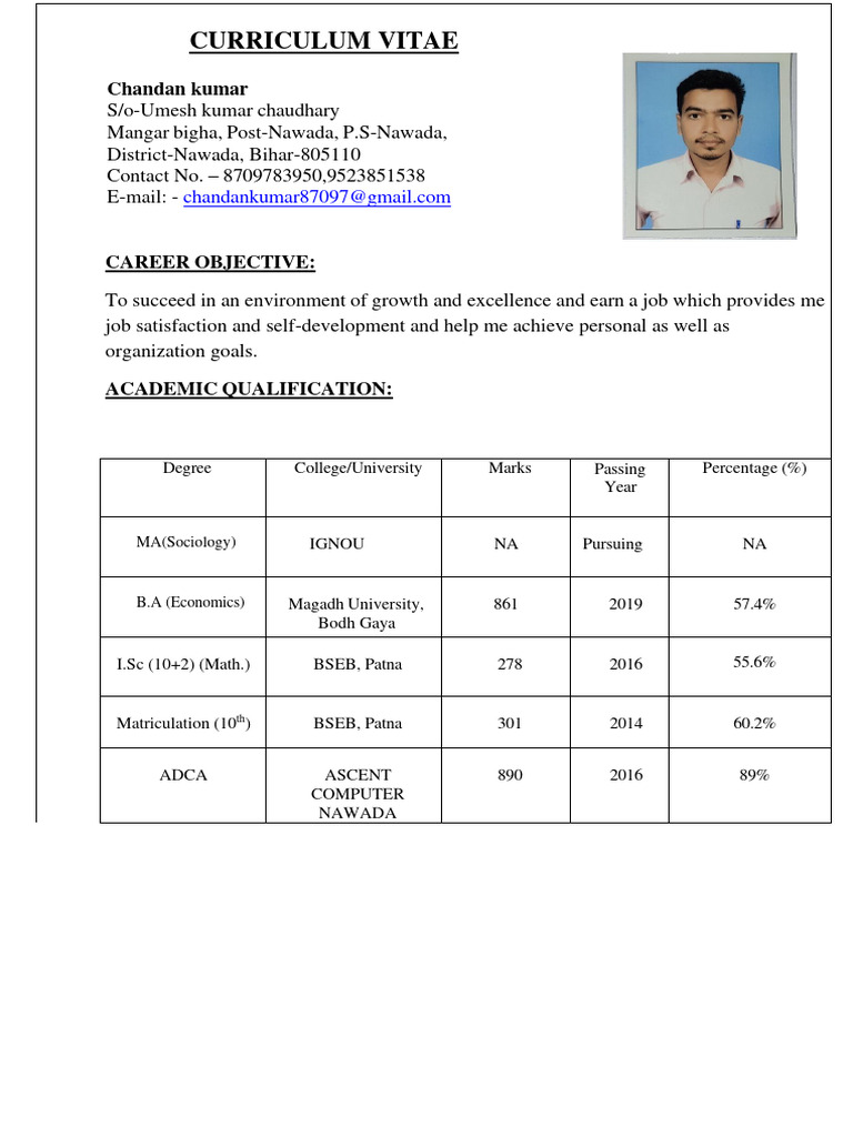 Chandan Kumar's Professional CV | PDF | Computing | Software