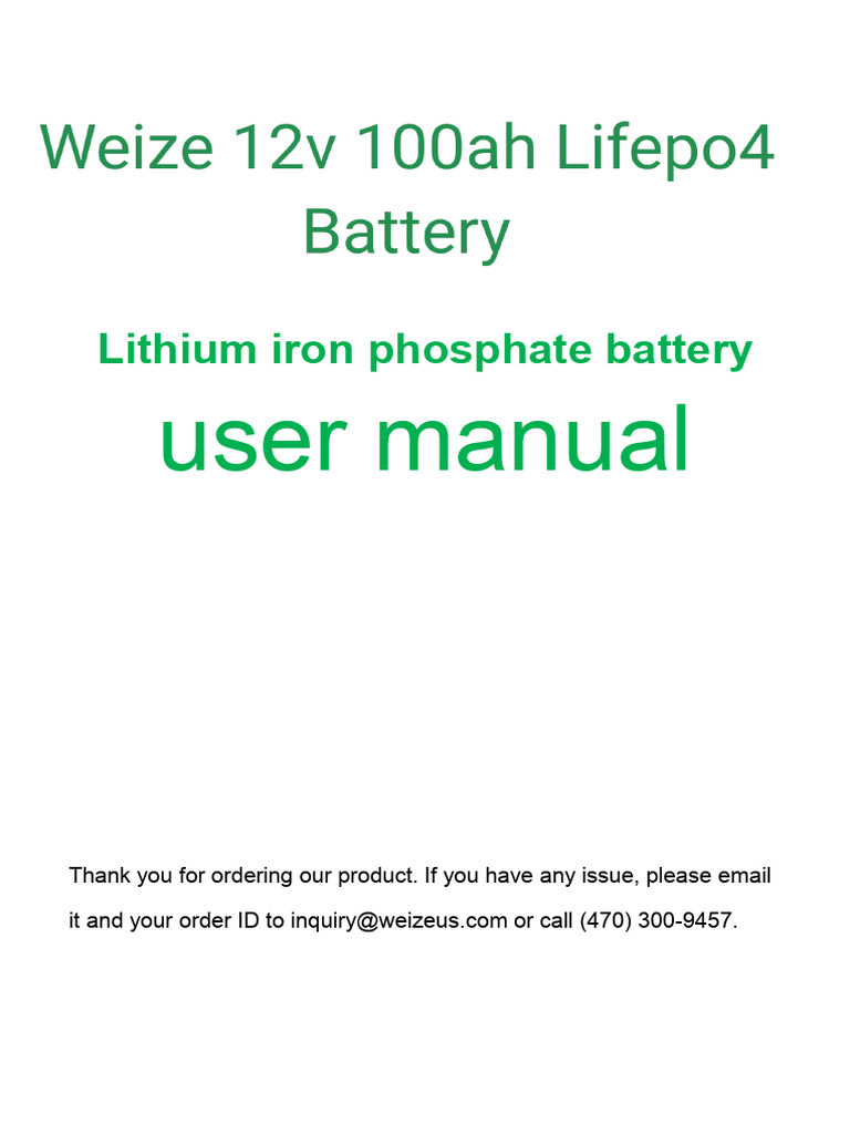 12V 100Ah LiFePO4 Battery Manual | PDF | Battery Charger | Electrical ...