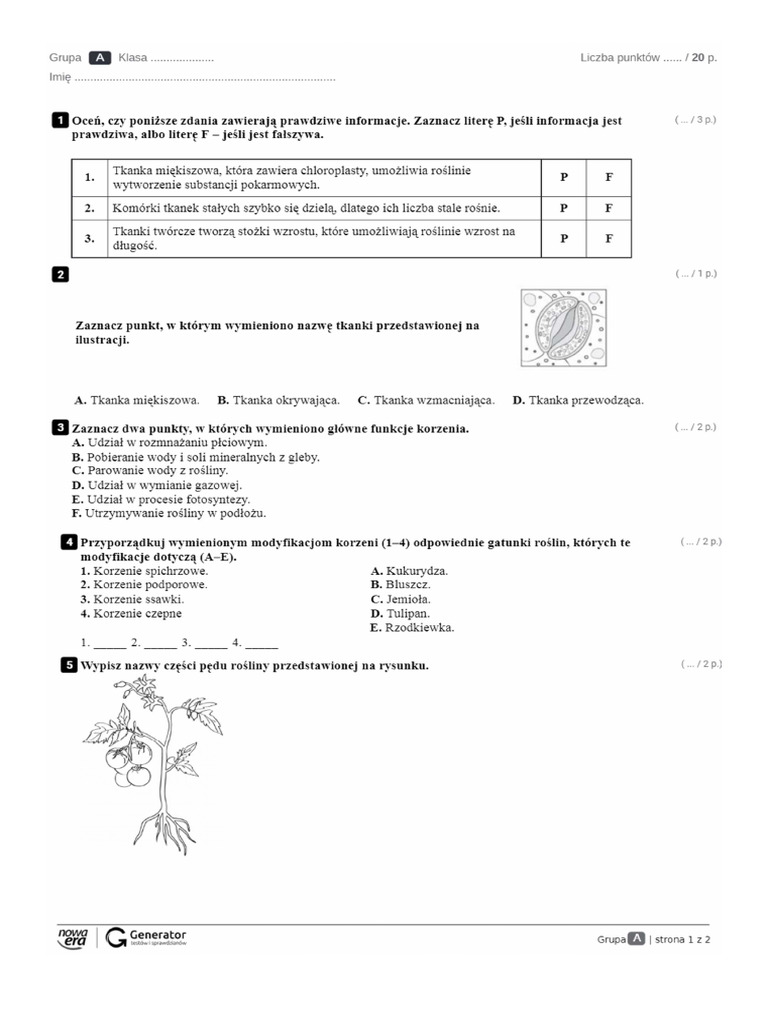 Biologia Klasa 5 Nowa Era KLASA 5 TKANKI I ORGANIZMY ROŚLINNE - Nowa Era | PDF