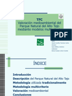 8.03.._Valoracion_del_Parque_Natural_del_Alto_Tajo_TFC_Francisco_Gazcon