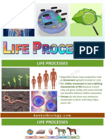 6. life process