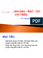 Lec10.s3.9.md. Huyet Dau Mat Co, Chi Tren