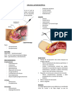 Cirugia Laparoscópica