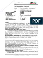 SILABO DE ENF PEDIATRIA 2023-I (1)