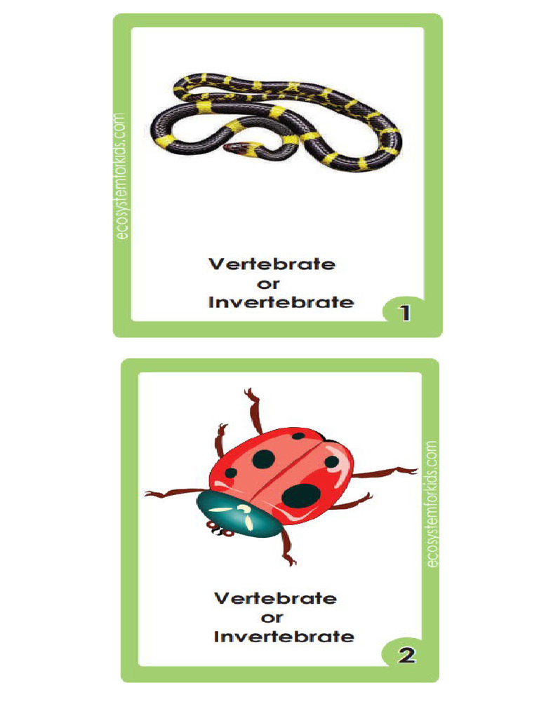 Flash Cards | PDF