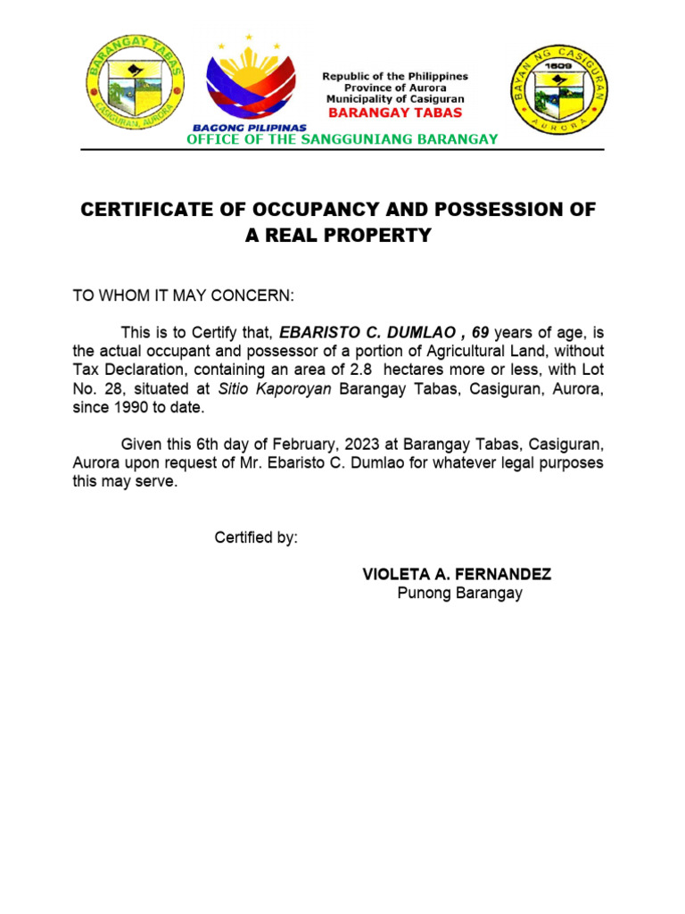 certificate-of-occupancy-and-possession-of-a-real-property-pdf