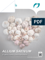 Alliumsatafv 01