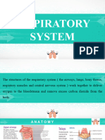 Assessment Respiratory System