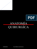 Anatomía Q.