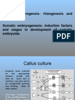 Lec 6. Organogensis and Somatic Embryogeneis