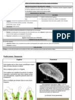 Activité 1 Unicellulaires TP