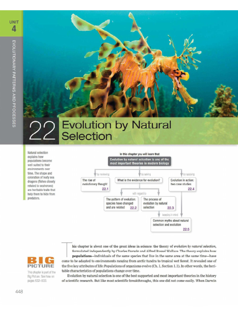 Evolutuion by Natural Selection | PDF