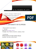 Diversity of Flowering Plants - PPTX - Grade 07