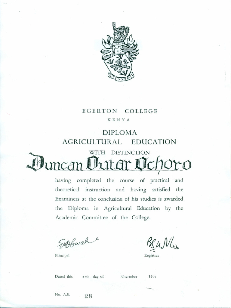 DIPLOMA CERTIFICATE MEANING visual data 8