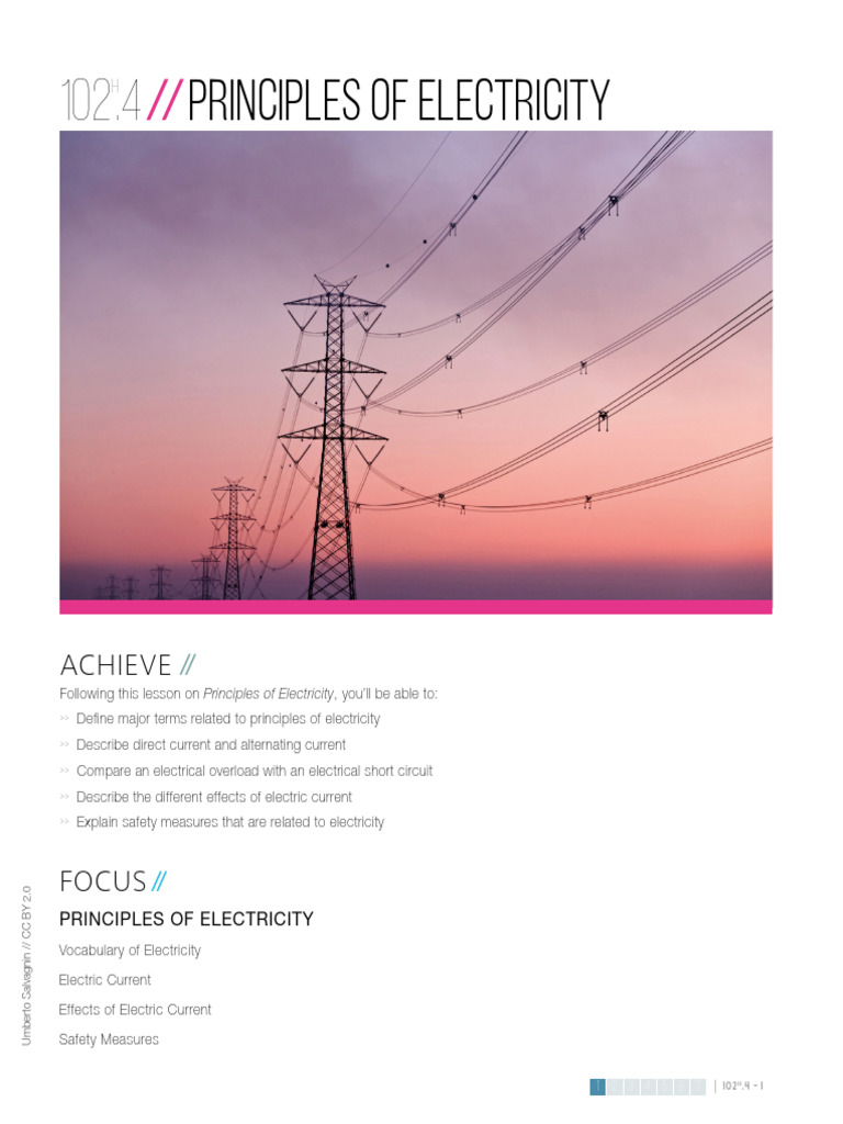 Principles of Electricity Worksheet | PDF | Electric Current | Electricity