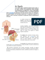 Anatomia Do Fígado