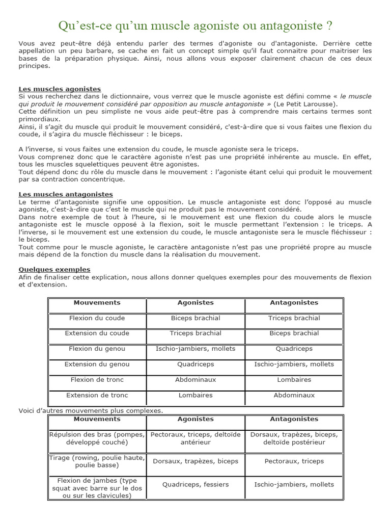 Muscles Agonistes et Antagonistes Définis PDF Muscle Anatomie humaine — free download