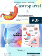 Gastroparesia-LDPM11