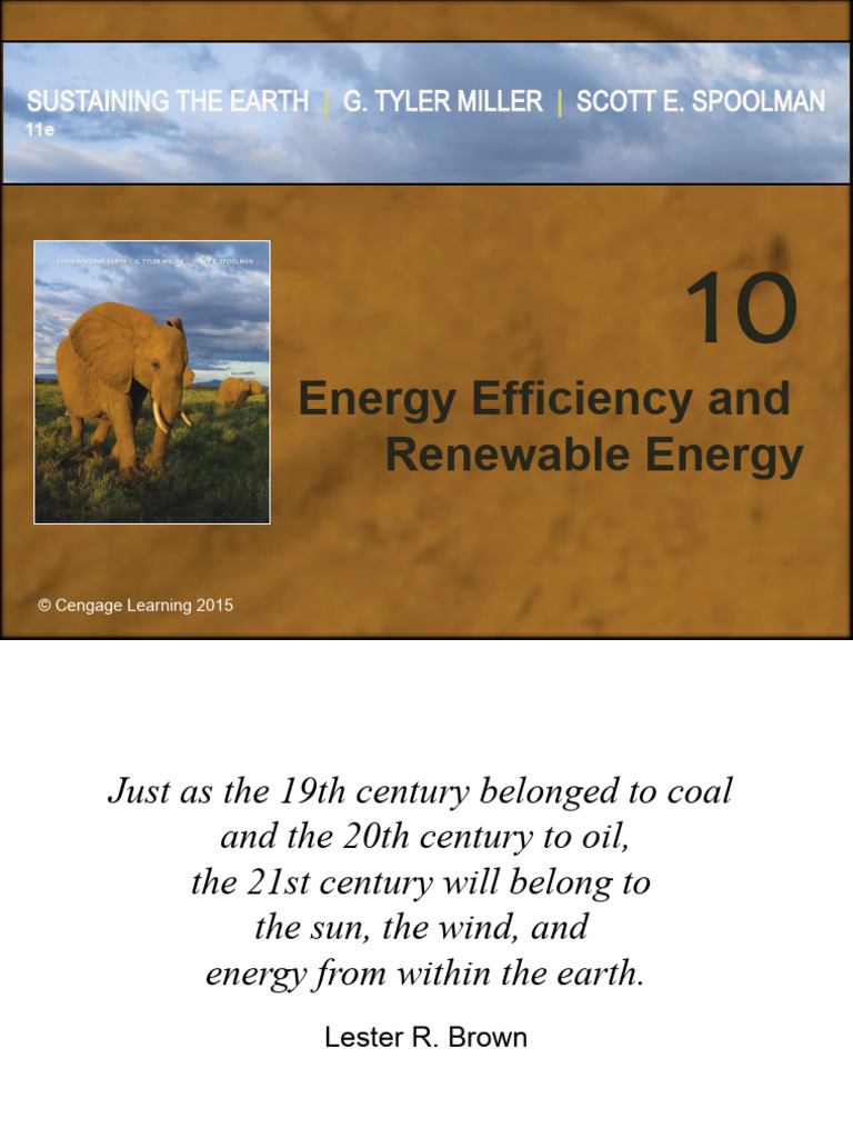 Class 20-21 - Energy Efficiency and Renewable Energy | PDF | Biofuel ...