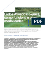 Lodos Ativados_ o que é, como funciona e suas modalidades1