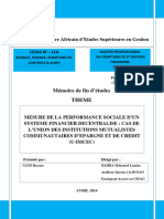 Mesure de La Performance Sociale D'un SFD CAS IMCEC