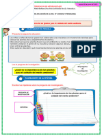 D1 A1 FICHA Importancia de Las Plantas para El Cuidado Del Medio Ambiente