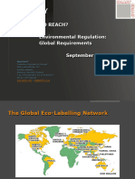 Beyond REACH - Environmental Regulation Global Requirements (2008)