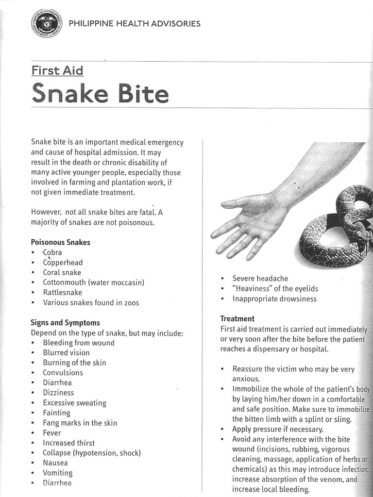 Snake Bite | PDF