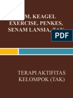 Rom, Keagel Exercise, Penkes, Senam Lansia, Tak