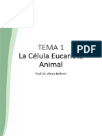 Bellorin Biologia CICS Tema 1