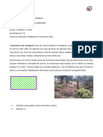 Información Técnica Larga Distancia