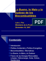 Luis Paz - Lo Bueno Lo Malo y Lo Dudoso de Los Bio Combustibles - Dic 2007