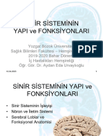 1 Sinir Sistemi Yapı, Fonk Dahiliye