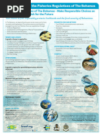 BREEF Fisheries Regulations Poster