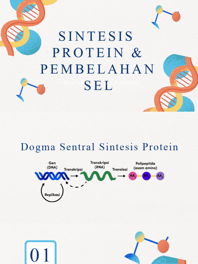 Sintesis Protein Baru | PDF