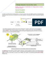 De_la_photosynthèse_-cours