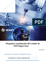 Organiza Constitucion Del Comite de SST