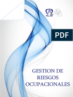 Gestion de Riesgos Ocupacionales