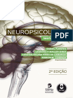 Neuropsicologia Teoria e Prática 240208 181434